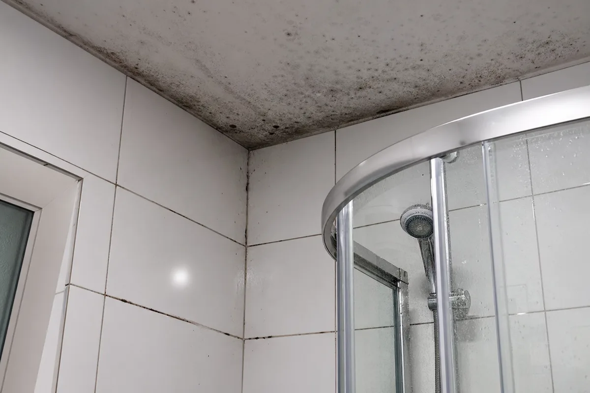 Pleseň na silikónovom spoji a v rohu kúpeľne