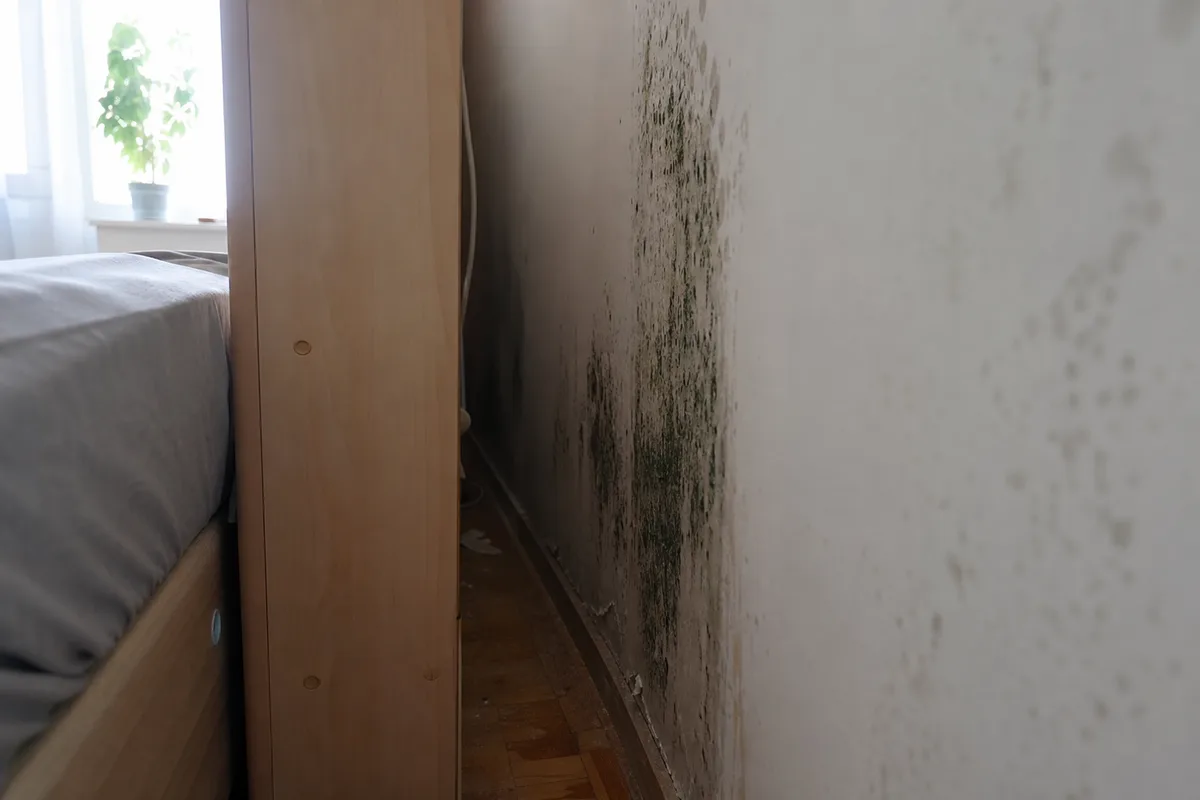 Pleseň na stene za skriňou pri vonkajšej stene